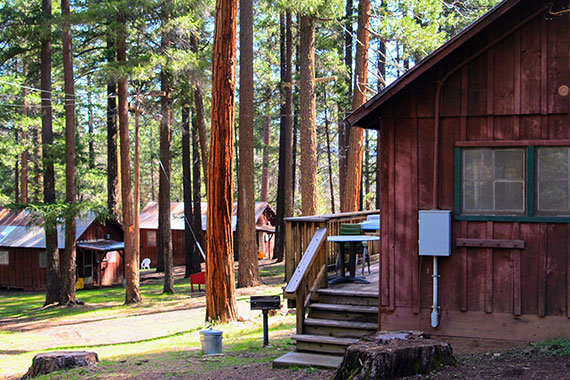 Camp Shasta photo