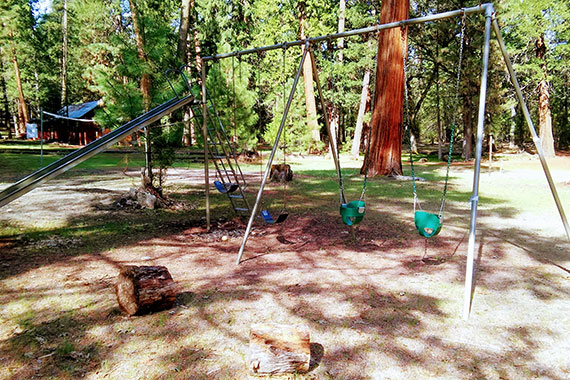 Camp Shasta photo