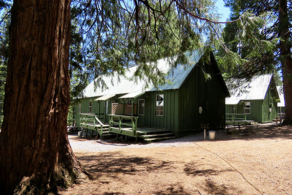 Almanor Back of Cabins