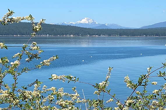 Lake Almanor and Mt Lassen