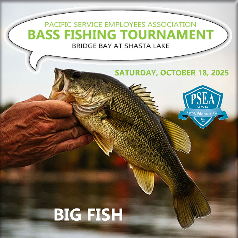 2025BigFishButton