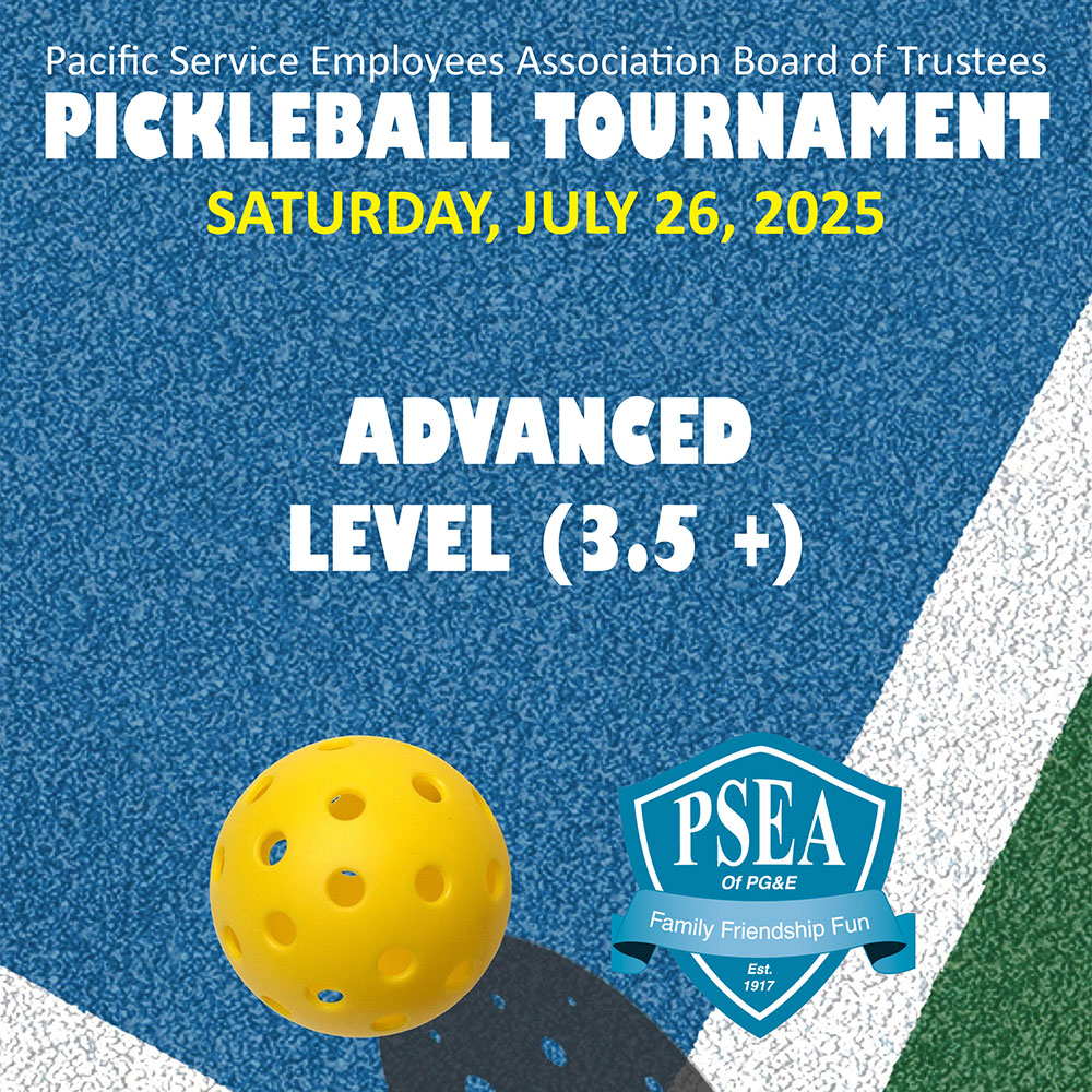Pickleball Advanced Entry Image